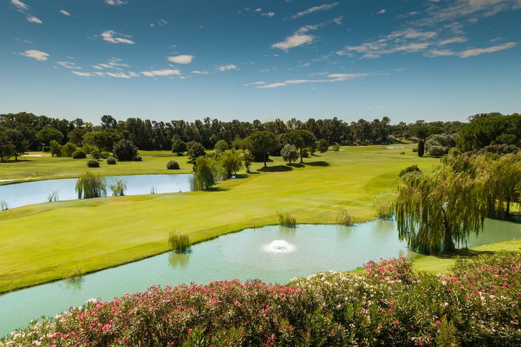 5golf Surroundings_from