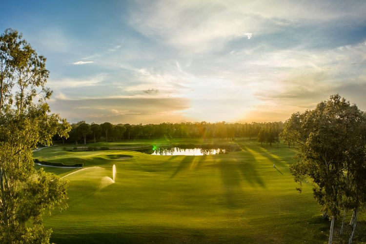 Golf Course 1 272fa780