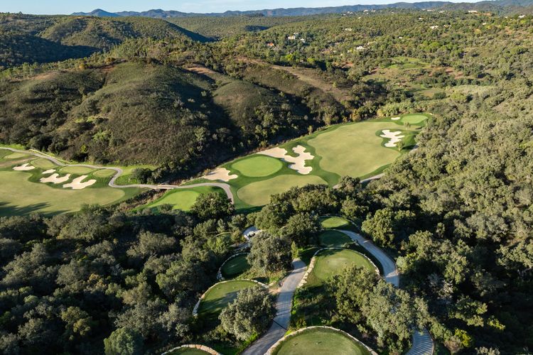 J Hogg Ombria DJI_0130