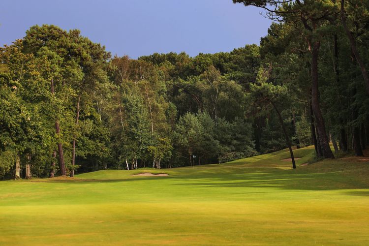 Le Touquet   La Foret _14th_close