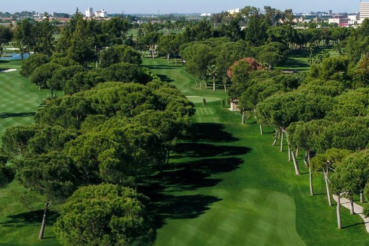 Real Club Pineda De Sevilla 1