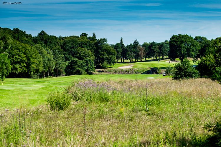 Saint Malo Golf Frankrijk Bretagne Rough