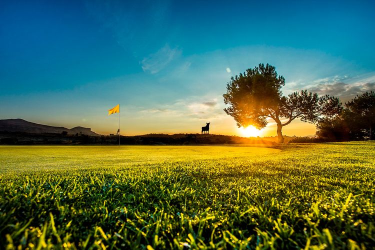 Alenda Golf Spanje Costa Blanca Green Zonsondergang