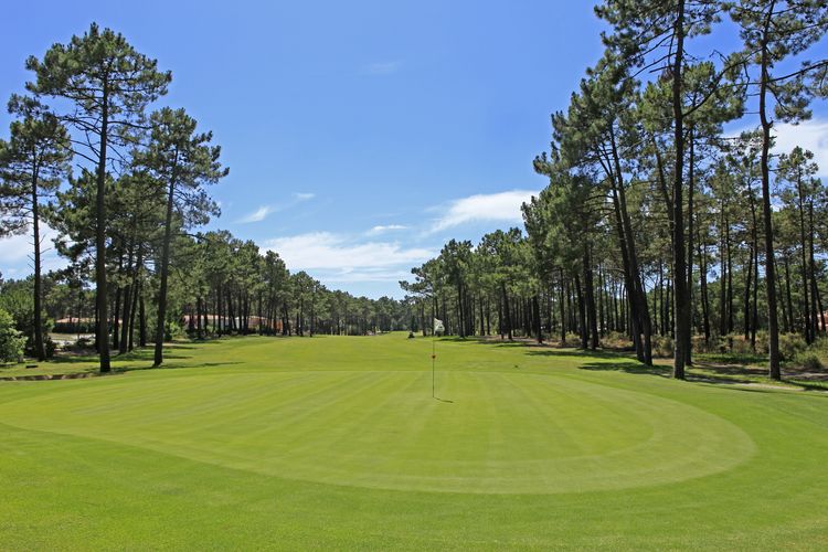 Aroeira 1 Golf Portugal Lissabon Fairway