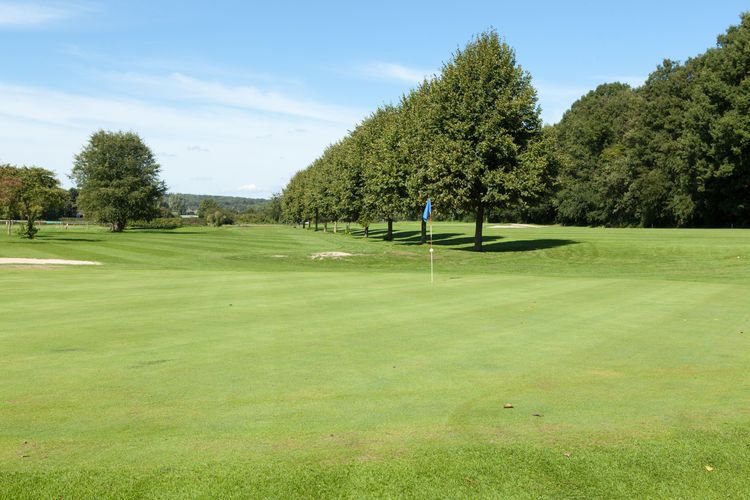 Borghees Golfbaan Duitsland Grensstreek Green D556361d