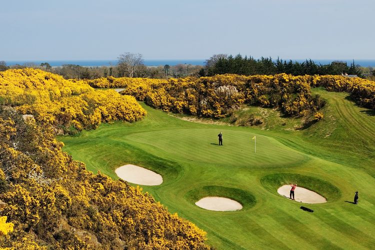 Druids Heath Golfbaan Ierland Wicklow Struiken