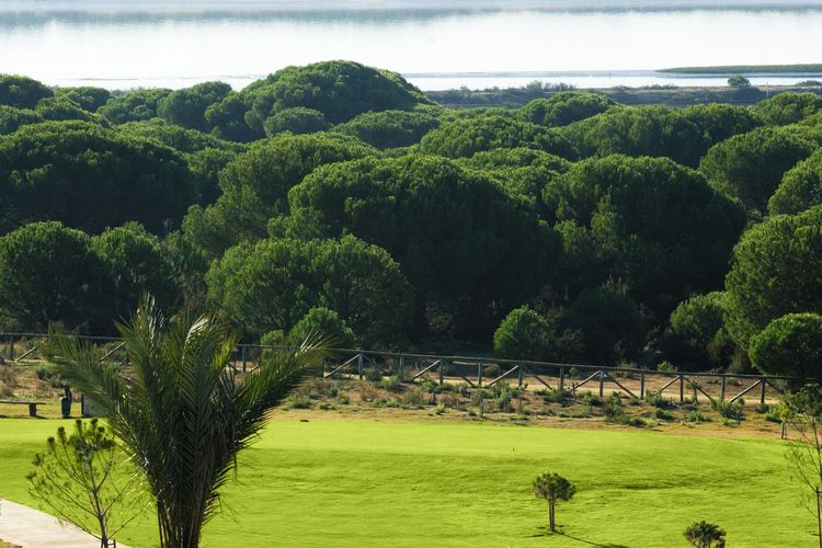 El Rompido South Golf Spanje Costa De La Luz Noord Green