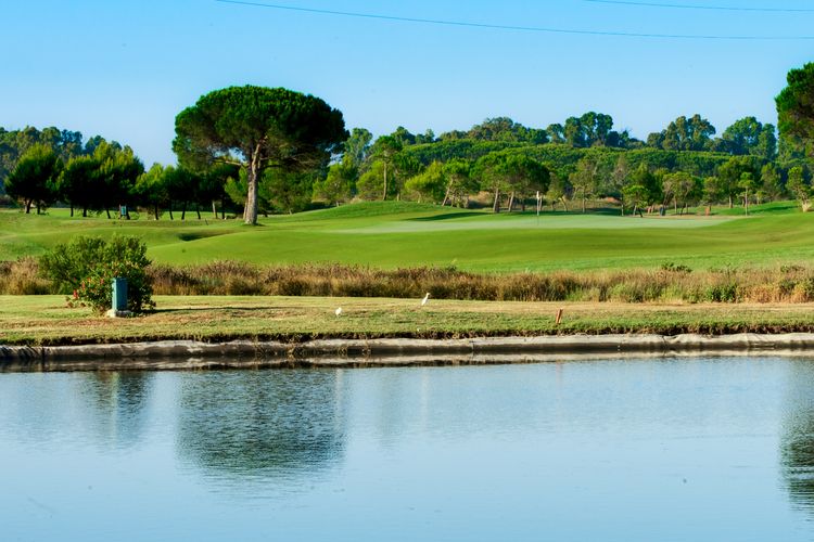 Estancia Golf Spanje Costa De La Luz Water Green Bomen