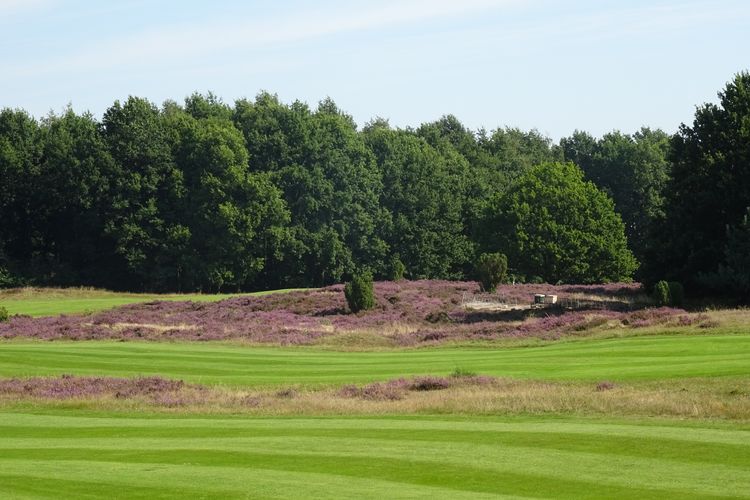Gelpenberg Golf Nederland Drenthe Fairways.JPG