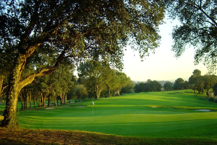 Girona Golf Spanje Costa Brava Green Bomen