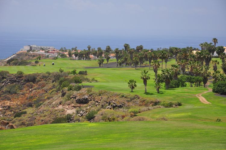 Golf Del Sur Golf Tenerife Fairway