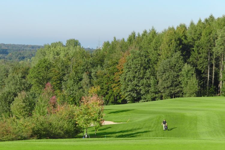 Habischtswald Golfbaan Duitsland Grensstreek Golfer