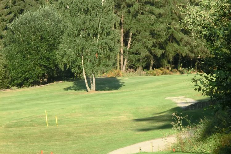 Hamelner Golfbaan Duitsland Midden Duitsland Boom.JPG