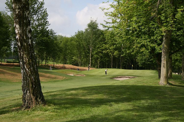 Hole05 Bomen