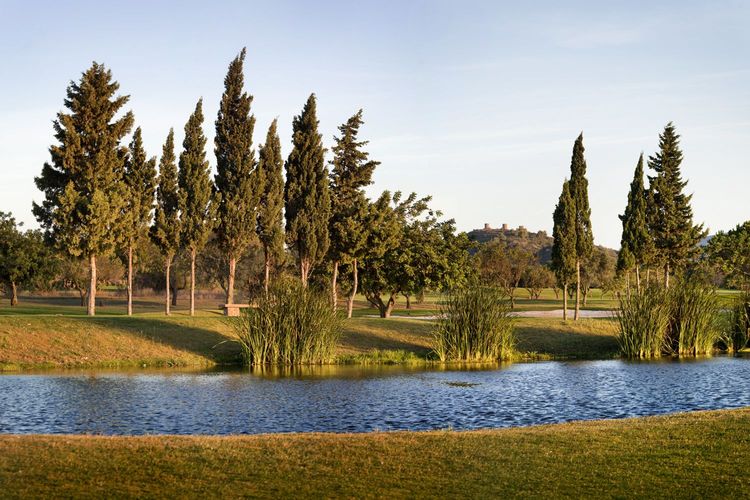 La Sella Golf Spanje Costa Blanca Bomen