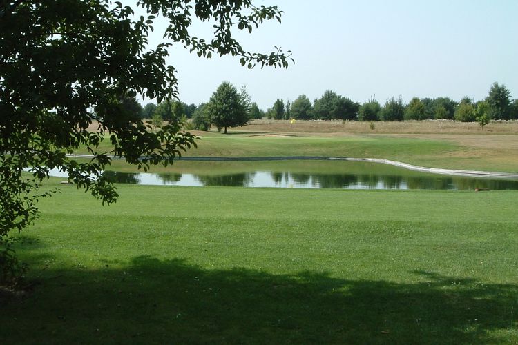 Louvain La Leuve Belgie Brussel Green Water.JPG