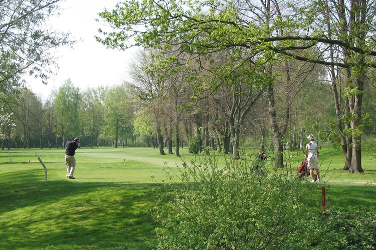 Munster Wilkinghege Golfbaan Duitsland Grensstreek Tee