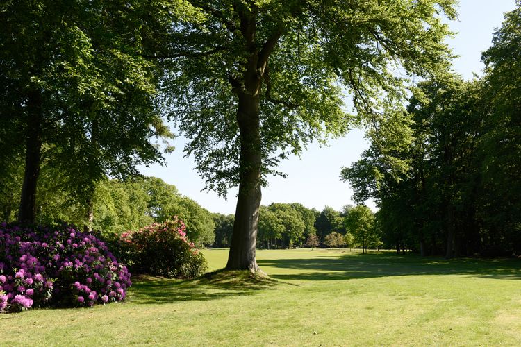 Noord Nederlandse Golf Nederland Groningen Bloemen