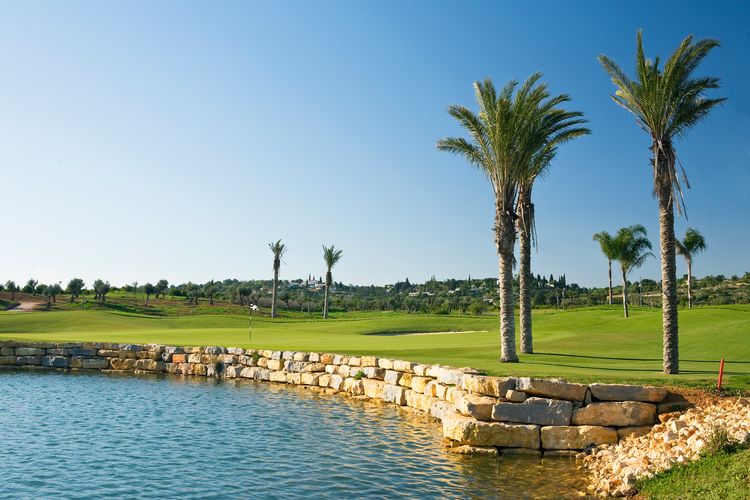 Oconnor Golf Portugal Algarve Stenen Boom