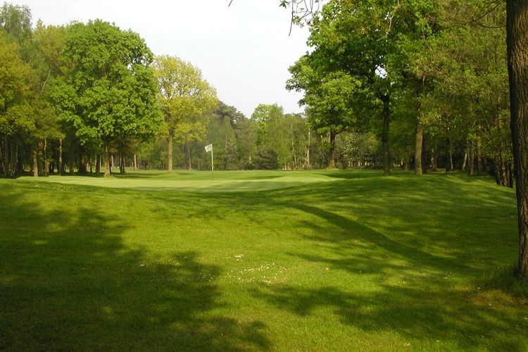 Rinkven Golf Golfbaan Belgie Vlaanderen Green Rough