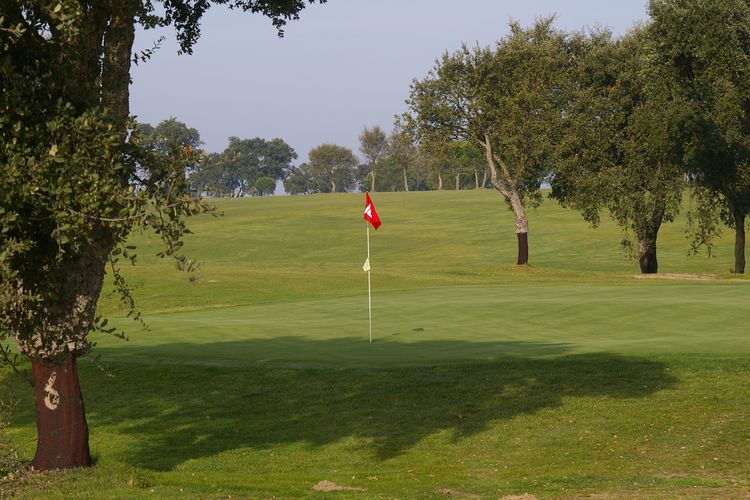 Santo Estevao Golf Portugal Lissabon Green.JPG