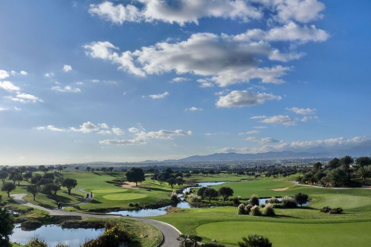 Son Gual Golf Mallorca Tee