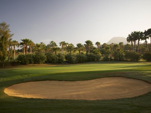 CanarischeEilanden Tenerife Golfbaam LasAmericas Bunker