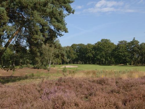 Golfbaan De Koepel Heide