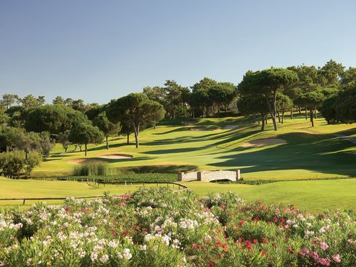 Pinheiros Altos Olives 9th A