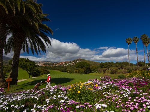 Real Club De Golf De Las Palmas Golfer
