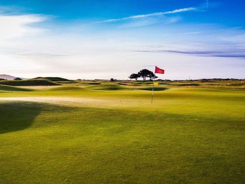 Royal Dublin Golf Club Green