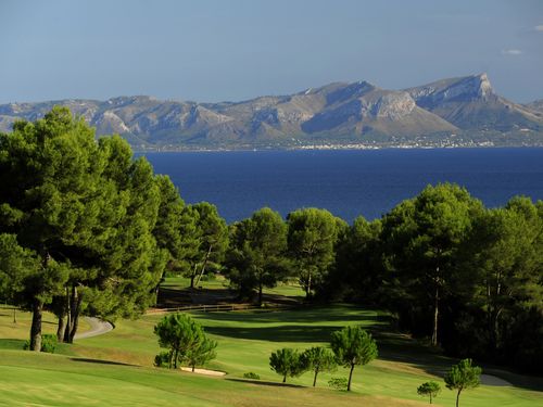 Alcanada Golf Mallorca Bomen Zee