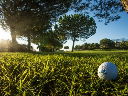 Alenda Golf Spanje Costa Blanca Bomen
