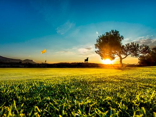 Alenda Golf Spanje Costa Blanca Green Zonsondergang