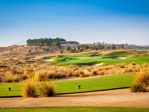 Alhama Golf Spanje Costa Blanca Tee