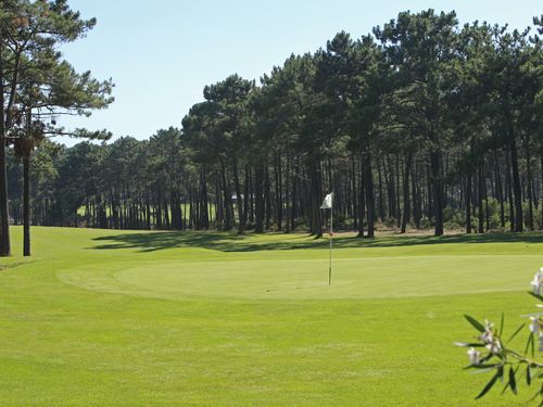 Aroeira 1 Golf Portugal Lissabon Bomen