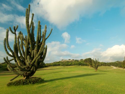 Blue Bay Golfbaan Curacao Hole 3