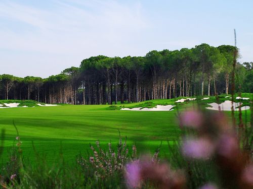 Carya Golf Turkije Belek Fairway