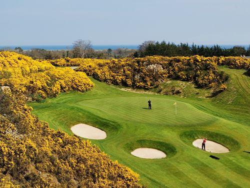 Druids Heath Golfbaan Ierland Wicklow Struiken