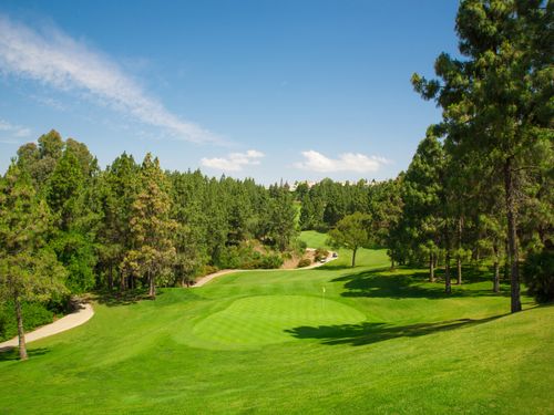 El Chaparral Golf Spanje Costa Del Sol Green2