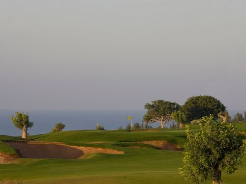 Elea Golfbaan Cyprus Paphos Green 2