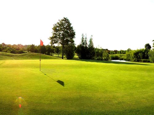 Elfrather Muhle Golfbaan Duitsland Grensstreek Green