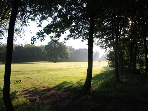 Flanders Nippon Golfbaan Belgie Vlaanderen Doorkijk Fairway