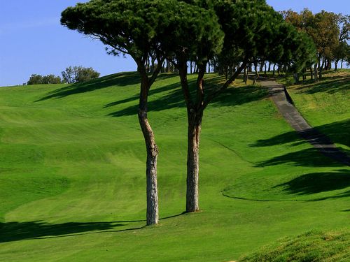 Frankrijk Cotedazur Golfbaan Saintmaxime Bunker Fairway Pijnbomen.JPG