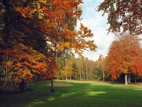 Frankrijk Noordfrankrijk Golfbaan Champdebataille Green Hole14