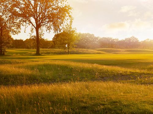 Golfclub De Turfvaert Zonsopkomst Green