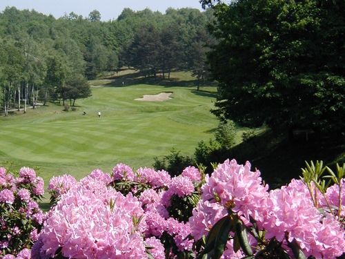 Iles Boromees Golfbaan Italie Lagomaggiore Rhodo