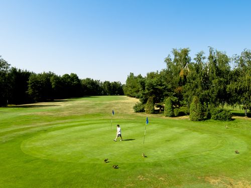 Keerbergen Golfbaan Belgie Vlaanderen Chipping Green.JPG