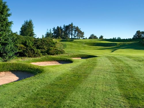 Kings Golf Schotland Perthshire Struiken