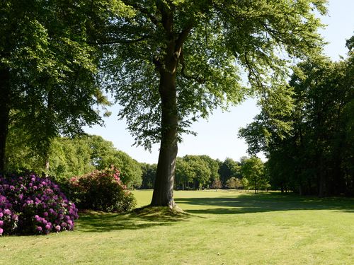 Noord Nederlandse Golf Nederland Groningen Bloemen
